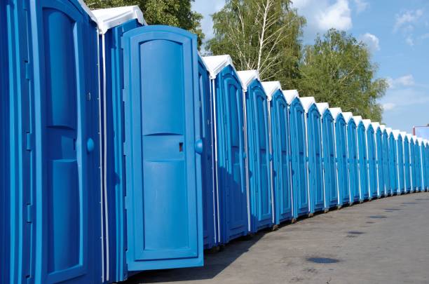 Best Affordable portable toilet rental  in Round Lake Heights, IL